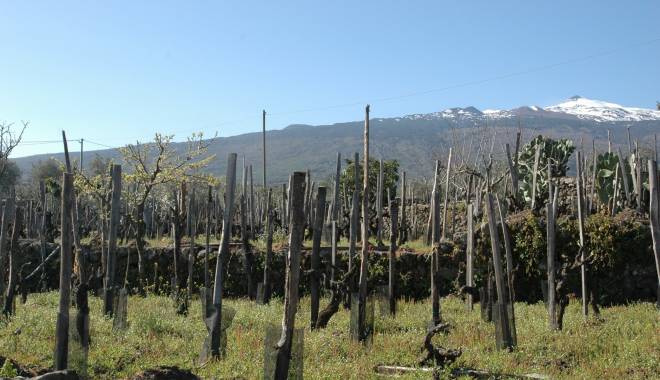 Etna Doc: i vini del Vulcano a Monaco di Baviera