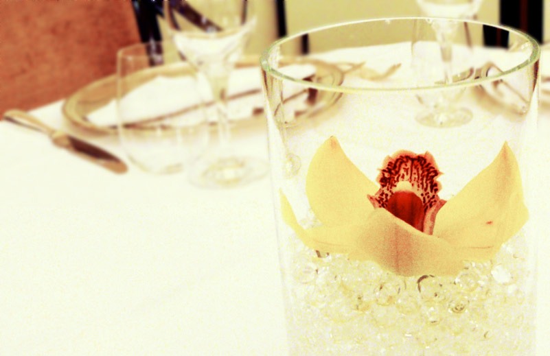 Ristorante Il Pappagallo