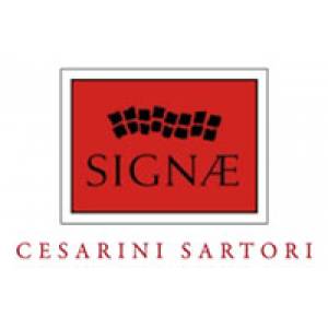 Cesarini Sartori Fiorella - Signae