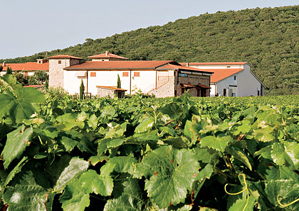 Azienda Agricola Tua Rita