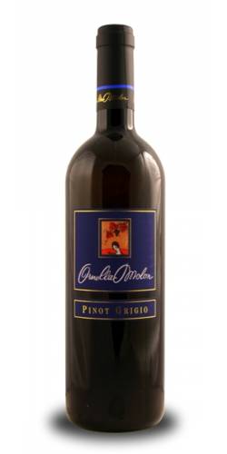 Vino Pinot Grigio del Piave Ornella Molon 2010