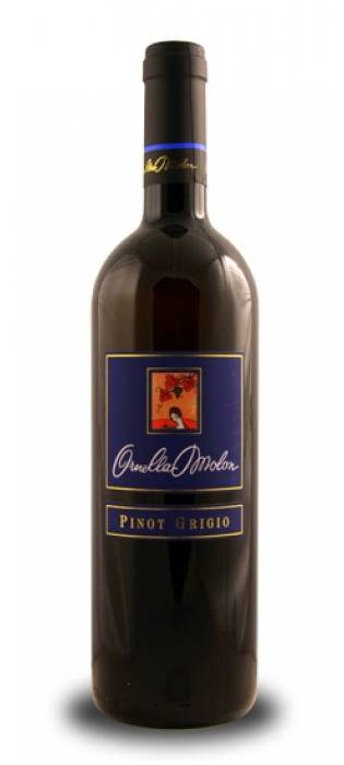 Vino Pinot Grigio del Piave Ornella Molon 2010
