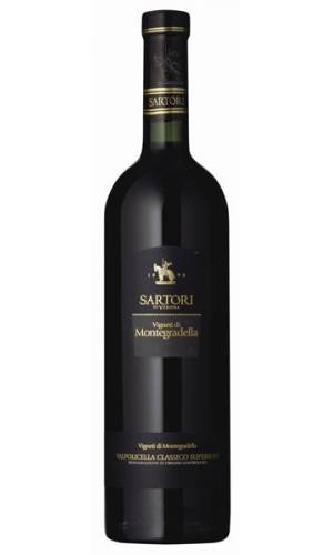 Vino Valpolicella Classico Superiore “Vigneti di Montegradella” 