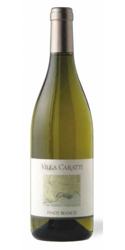 Vino Pinot Bianco Friuli Doc