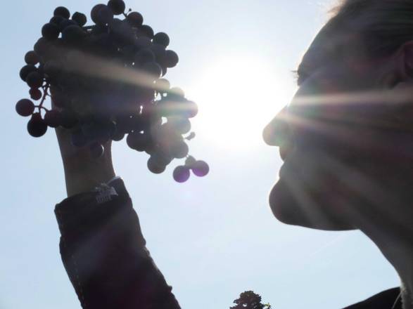 Chianti a Israele: San Casciano gemellato con il comune israeliano Rosh Pinna