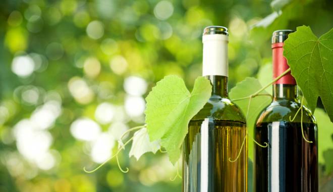  BioDivino 2015: i migliori vini bio italiani 