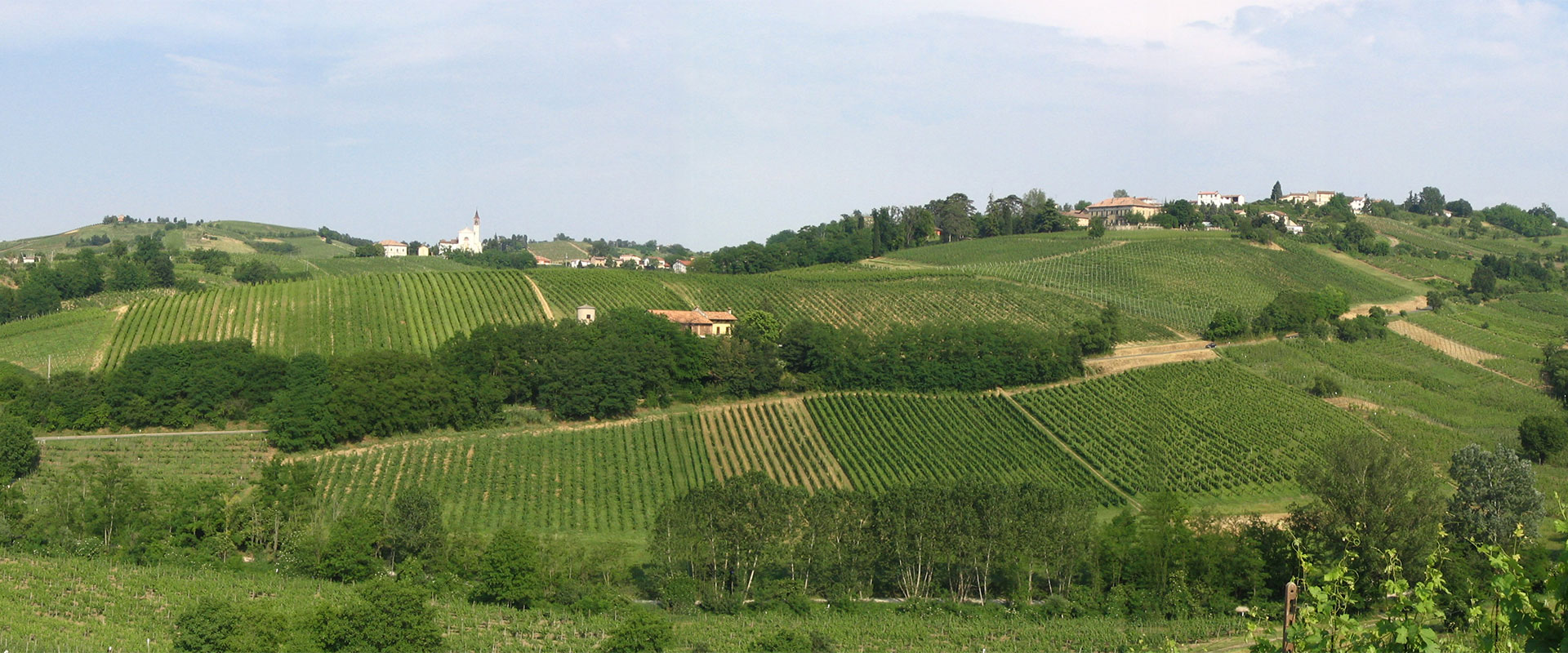 Ricreare un'oasi di Borgogna in Oltrepò