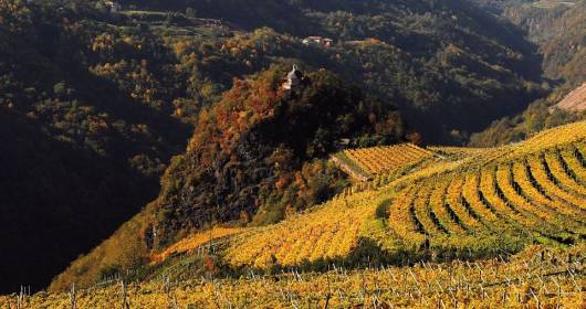 Sabato 15 ottobre ritorna Caneve Aperte  Cena itinerante con nove portate, vini e grappe in abbinamento