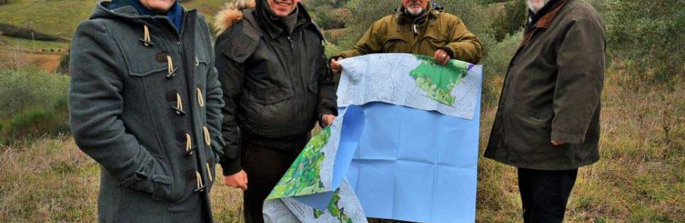 Dopo gli Oliveti Terrazzati di Vallecorsa altri 3 paesaggi olivicoli entrano nel Registro Nazionale del Paesaggio Rurale