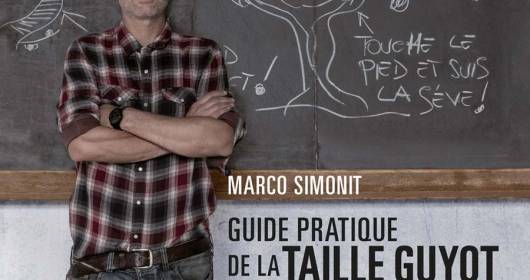 Assegnato a Marco Simonit il Premio Nobel della letteratura vitivinicola