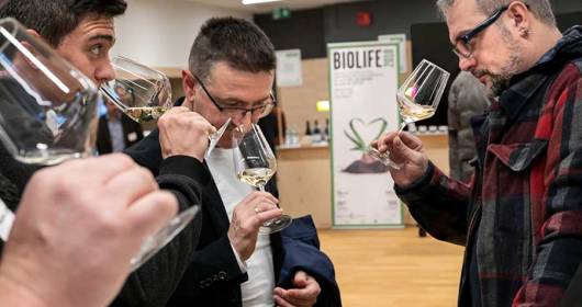 Bio Wine Festival 2019 Südtirol meets Trentino 