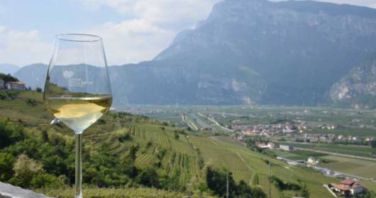 Nosiola lungo la Strada del Vino e dei Sapori del Trentino