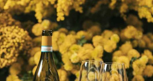 Masi presenta due nuovi vini bianchi Lugana Doc nel segno della sostenibilità