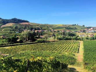 Panorama della tenuta Pastore vini