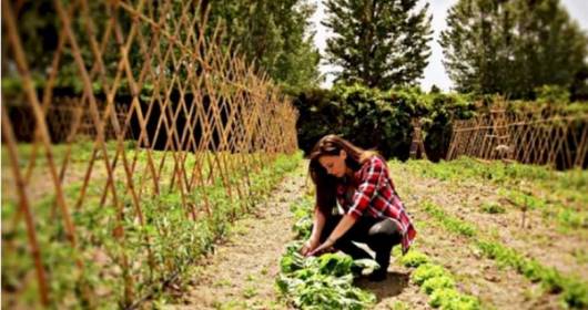 Sostegni per l'imprenditoria femminile in agricoltura