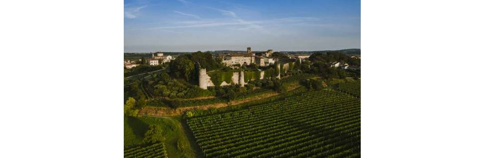 Il Garda diventa la capitale nazionale del Golf e il suo bianco più rappresentativo ne sarà il vino ufficiale: il Lugana DOC incontra l'Open d'Italia per un weekend di sport e stile che punterà sul territorio l'attenzione di milioni di appassionati di tutta Europa. 