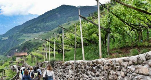 Trentino, dal 14 al 16 maggio il secondo weekend di Gemme di gusto.