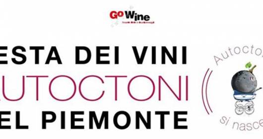 Festa dei vini autoctoni del Piemonte - Alba sabato 10 luglio.