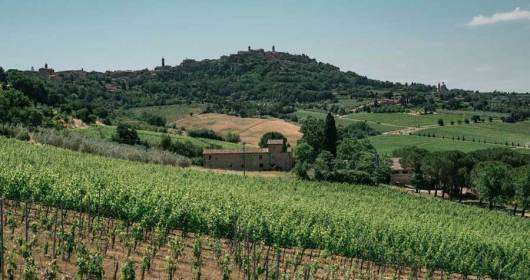 Fattoria della Talosa: nelle nuove “Pievi” l’eccellenza del Vino Nobile di Montepulciano
