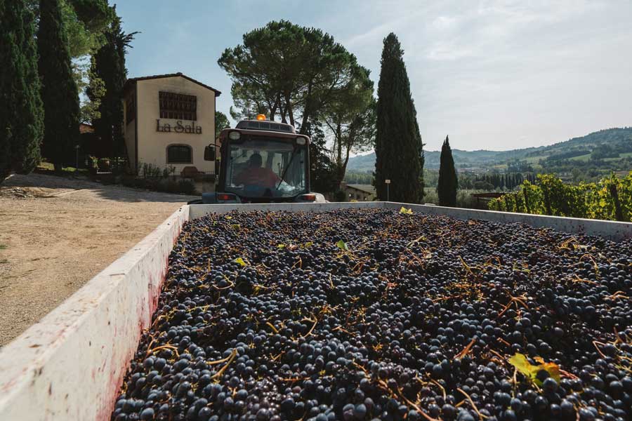 Tre appuntamenti per conoscere la cantina La Sala del Torriano in Chianti Classico