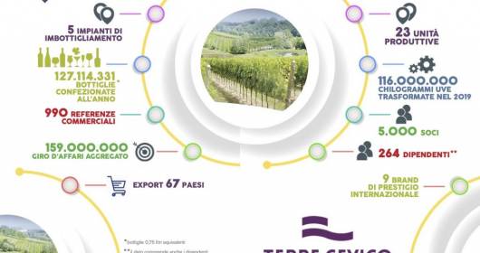 Partnership Terre Cevico - Orion Wines nel mondo del vino