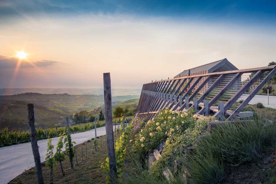 Orlando Abrigo innova nel Barbaresco con il clone rosé di Nebbiolo