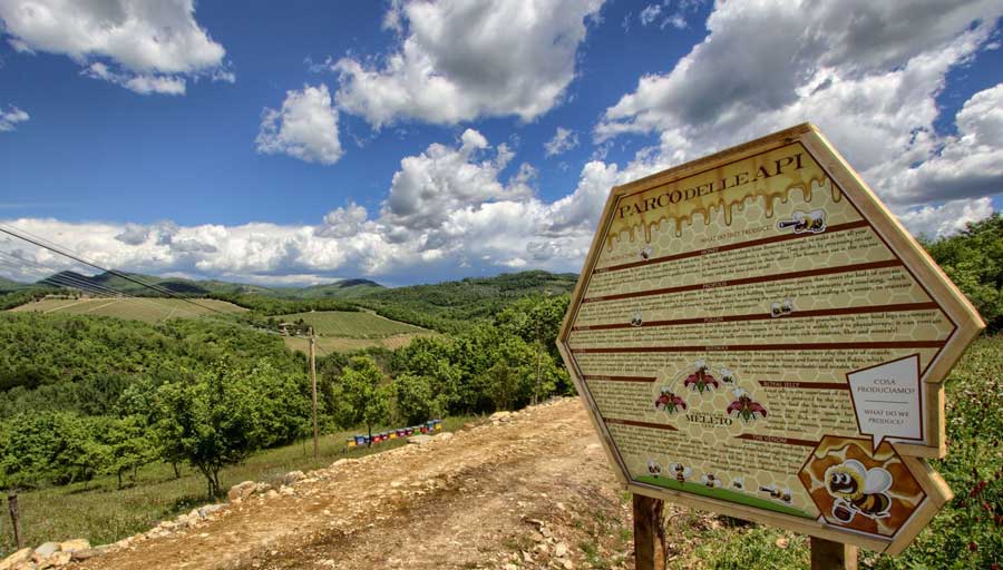 OLTRE IL CONCETTO DI SOSTENIBILITÁ