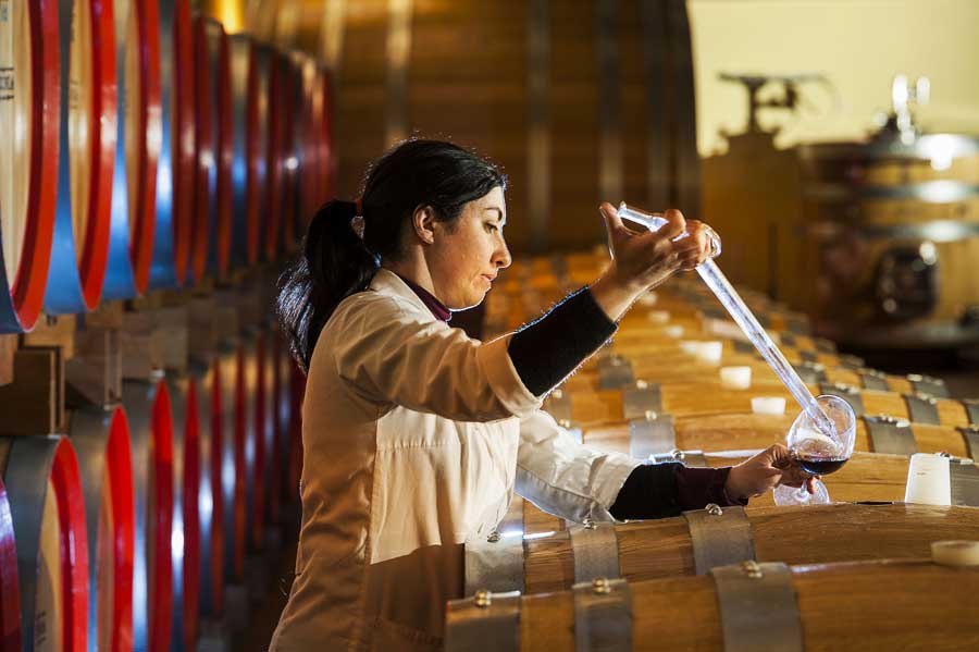 Assovini Sicilia: “dalla vendemmia 2021 ci aspettiamo vini di grande qualità, intensità e profili aromatici unici”.