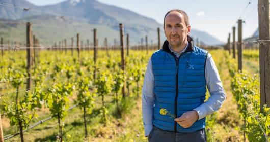Progetto Impetus: Cantina Toblino per una viticoltura sostenibile in Europa