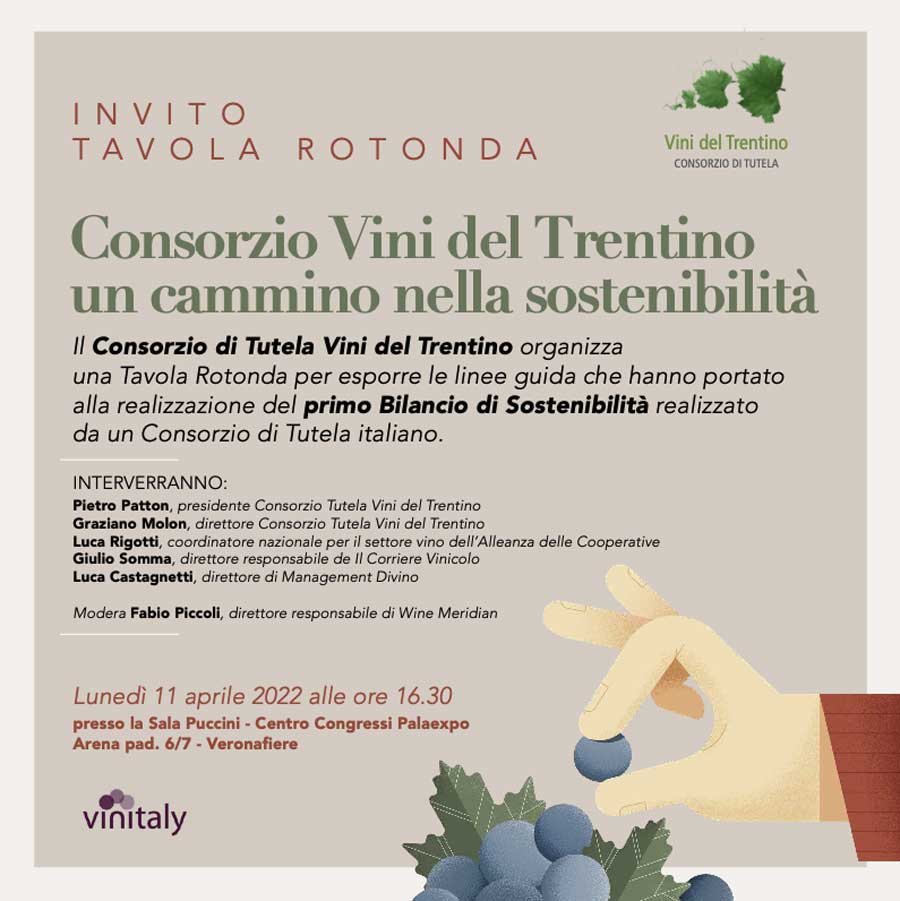Consorzio di Tutela Vini un cammino nella sostenbilità