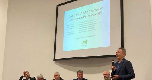Vinitaly 2022: il Consorzio Vini del Trentino presenta le linee guida per il Bilancio di sostenibilità