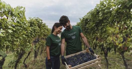 Enoturismo: le iniziative della Masi Wine Experience per il 2022