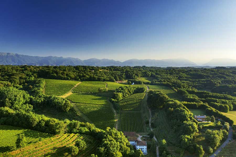 DAL MONTELLO A VENEZIA: NASCE IL WINE CLUB LOREDAN GASPARINI