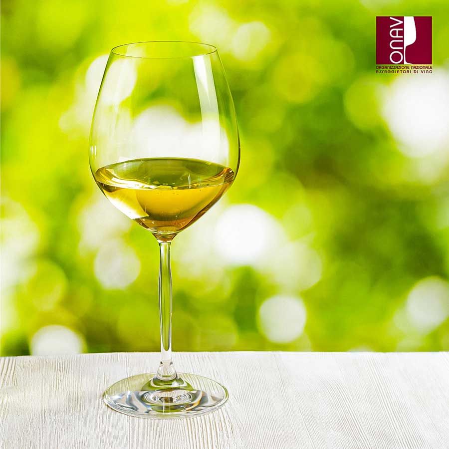 MASTER RIVOLUZIONARIO PER IL MONDO DEL VINO