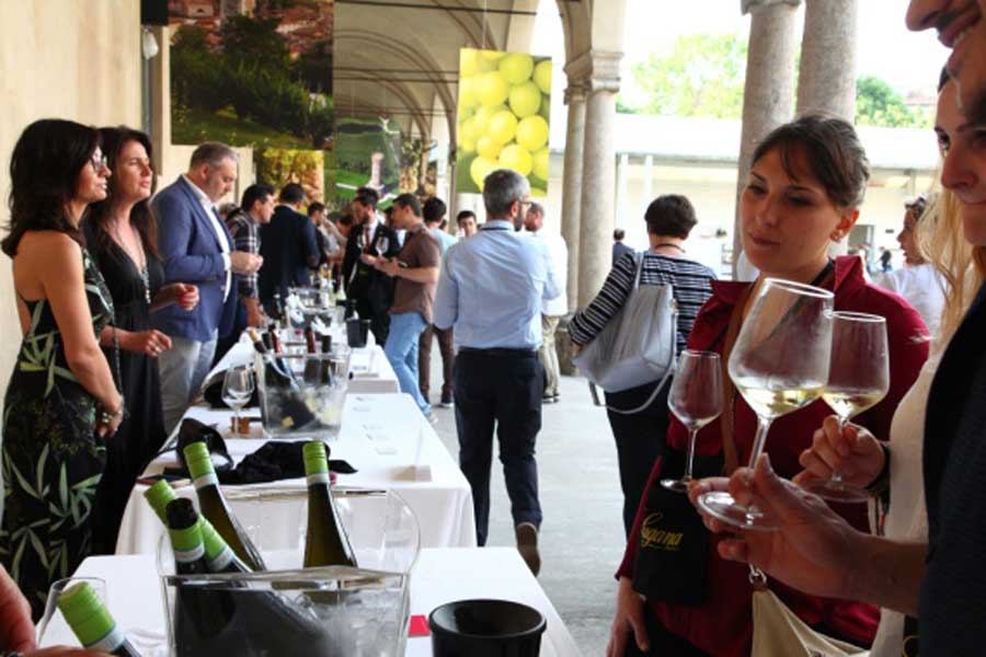 Lugana Armonie Senza Tempo, 50 cantine della Doc Lugana il 15 settembre a Roma