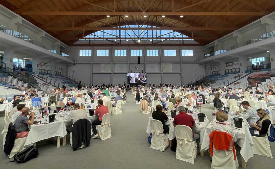 Puglia 46 medaglie del Concours Mondial de Bruxelles