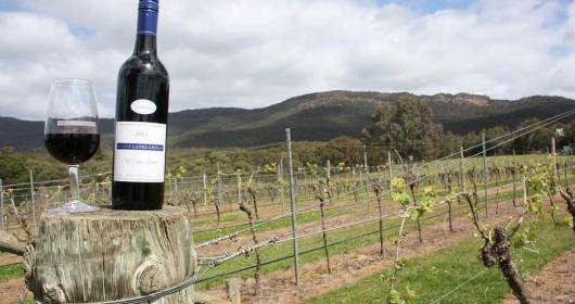 Enoturismo: Wine Meridian lancia l'International Wine Tour per conoscere le strategie di accoglienza delle aziende vitivinicole internazionali