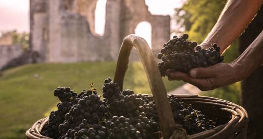 Dopo quasi sessant'anni si rinnova il legame tra i vini del Montello e Giovanni Comisso