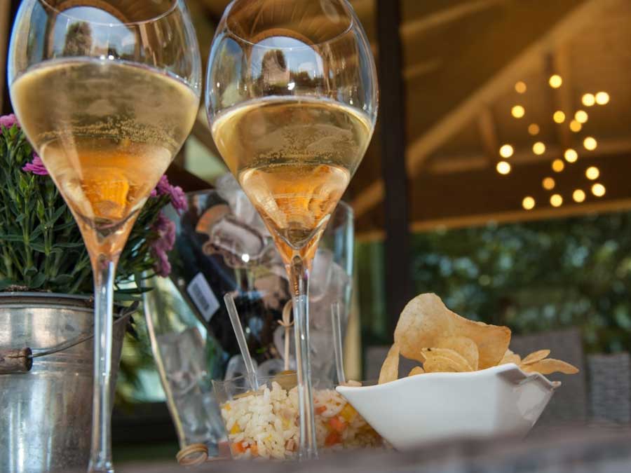 Cantine di Franciacorta di Erbusco straordinarie degustazioni di 60 Satèn (e non solo) di altrettante aziende