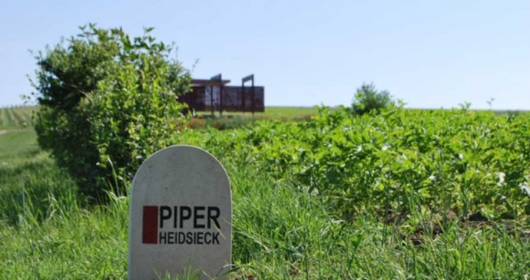 Piper-Heidsieck, Charles Heidsieck e Rare Champagne  ottengono la certificazione B Corp
