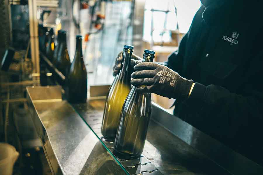 FORTI PREOCCUPAZIONI PER LA CRISI ENERGETICA NEL COMPARTO VINO: CANTINA TORREVILLA DENUNCIA AUMENTI DEL 500% IN BOLLETTA