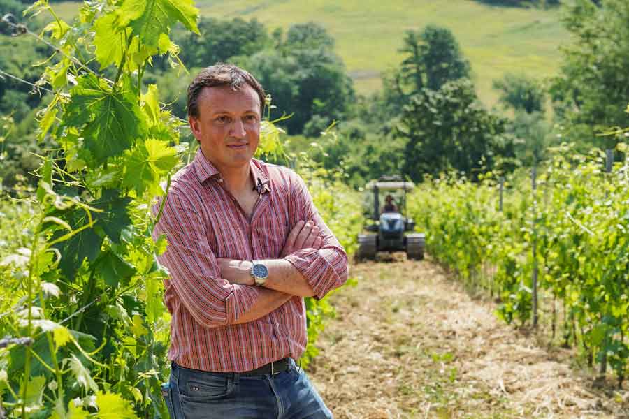 Piccini 1882: i vini dell’annata 2022 raggiungeranno vertici di assoluta eccellenza