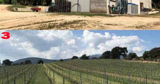 Le migliori occasioni di tenute agricole e vinicole della Gallura (Sardegna).