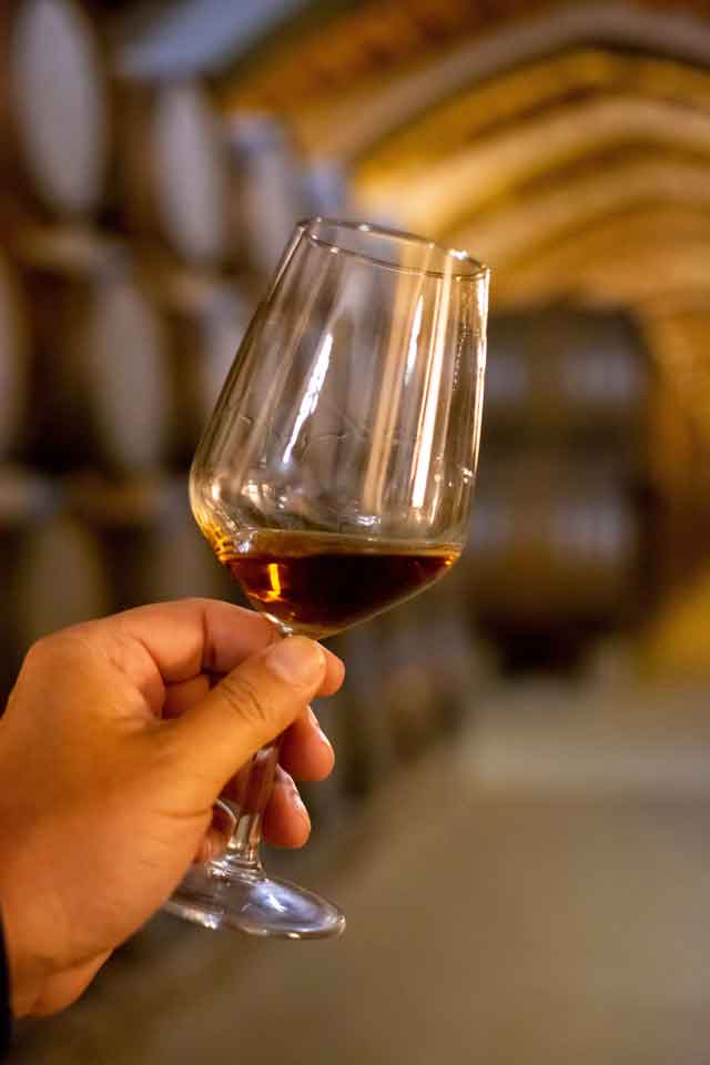 CONSORZIO DOC MARSALA RINNOVA IL SUO CORSO