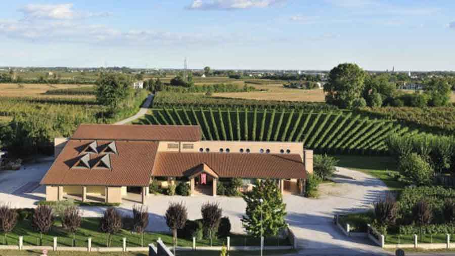 CECCHETTO TRA LE PRIME AZIENDE VITIVINICOLE VENETE A PRESENTARE IL BILANCIO DI SOSTENIBILITÀ