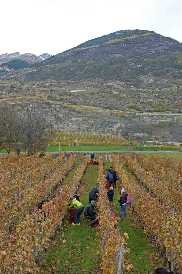 UNITI PER PROMUOVERE LA VALLE D'AOSTA