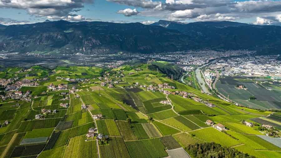 Curlan Chardonnay Riserva, il nuovo “solista” di Cantina Girlan