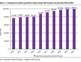 VITIVINICOLO: VENETO LEADER IN ITALIA CON 12 MLN DI ETTOLITRI DI VINO PRODOTTI NEL 2022