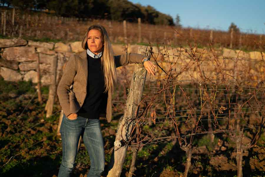 Tenuta Sette Cieli cresce e consolida la sua presenza nella DOC Bolgheri