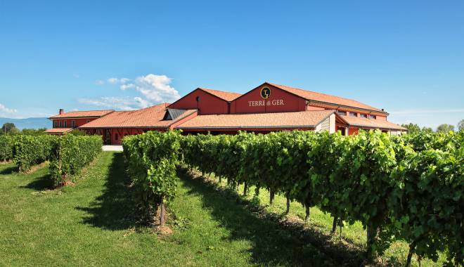 Dal Wine in Venice al Vinitaly, il progetto coraggioso di Terre di Ger per vini sani da varietà resistenti